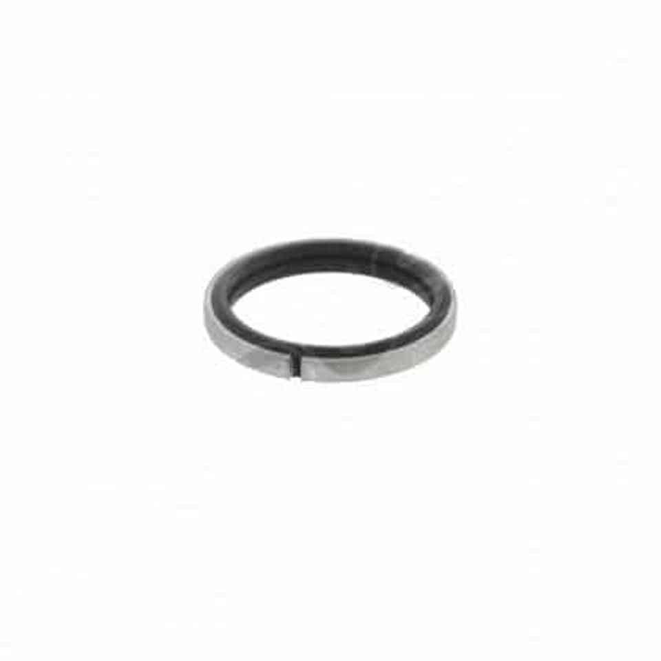 Sealing ring 8192189